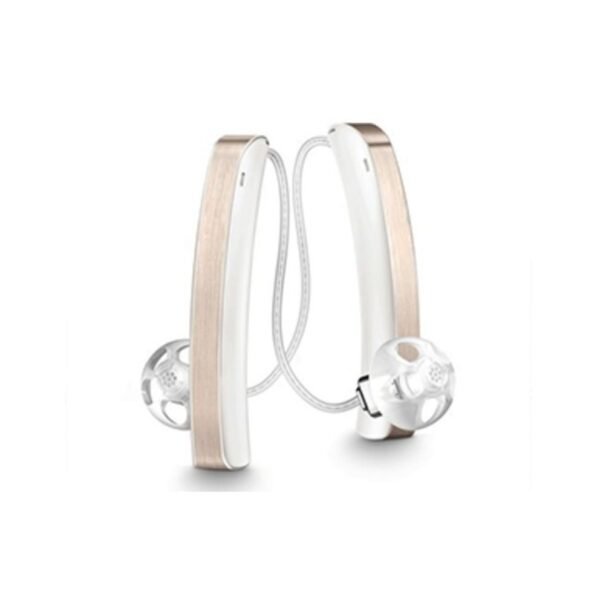 Hearing aid
